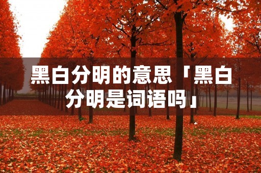 黑白分明的意思「黑白分明是词语吗」 黑白分明的意思「黑白分明是词语吗」