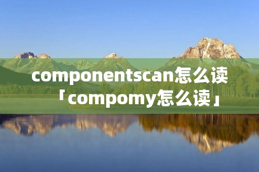 componentscan怎么读「compomy怎么读」