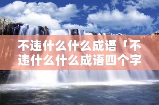 不违什么什么成语「不违什么什么成语四个字」
