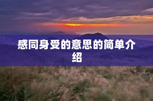 感同身受的意思的简单介绍