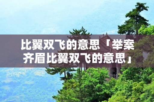 比翼双飞的意思「举案齐眉比翼双飞的意思」