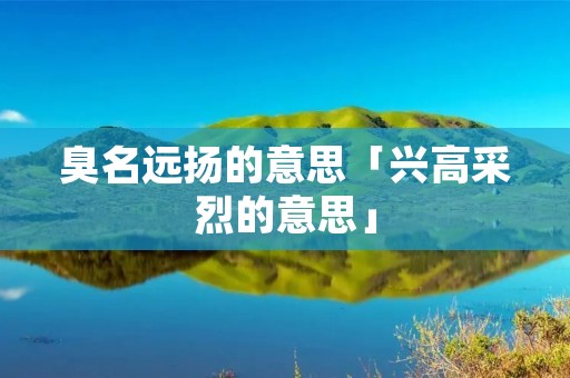 臭名远扬的意思「兴高采烈的意思」