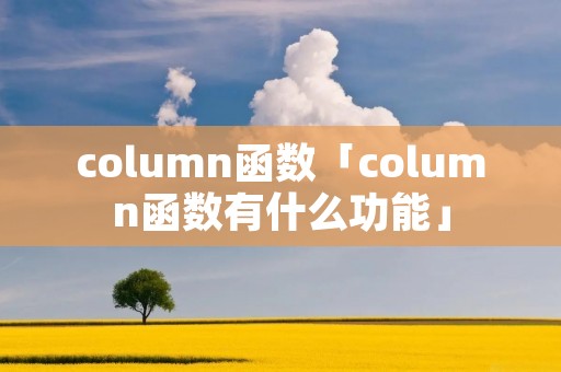 column函数「column函数有什么功能」