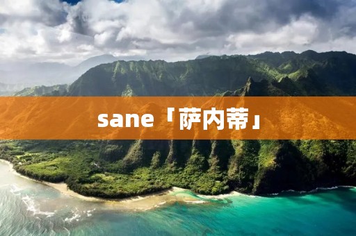 sane「萨内蒂」