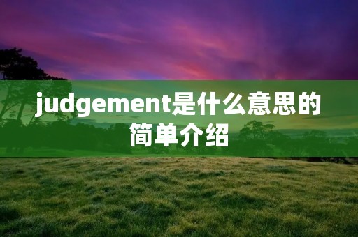 judgement是什么意思的简单介绍
