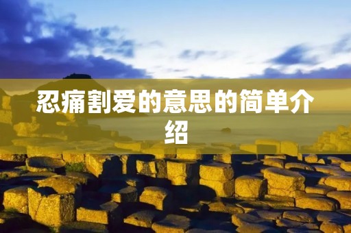 忍痛割爱的意思的简单介绍