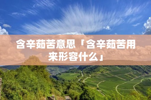 含辛茹苦意思「含辛茹苦用来形容什么」