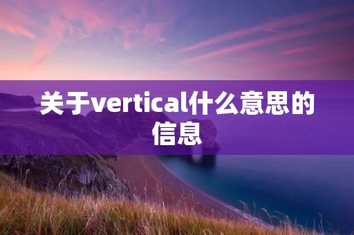 关于vertical什么意思的信息