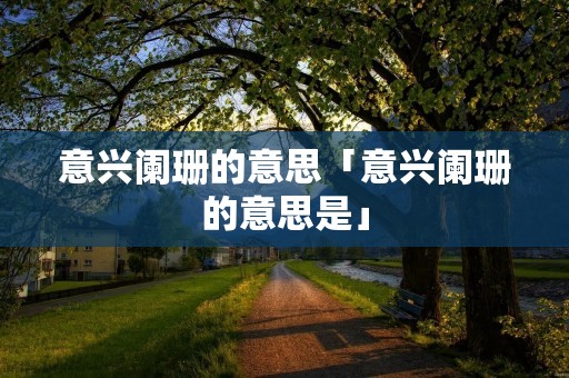 意兴阑珊的意思「意兴阑珊的意思是」