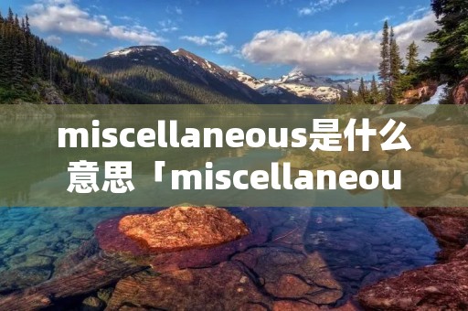 miscellaneous是什么意思「miscellaneous是什么意思中文翻译」