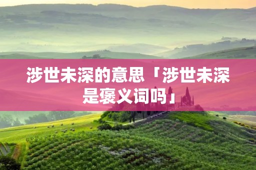 涉世未深的意思「涉世未深是褒义词吗」
