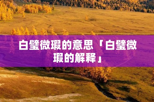 白璧微瑕的意思「白璧微瑕的解释」