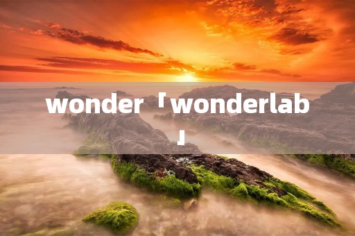 wonder「wonderlab」