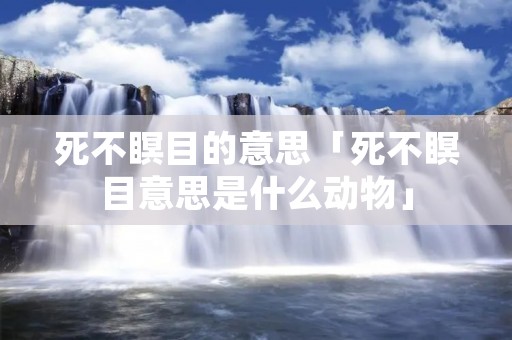 死不瞑目的意思「死不瞑目意思是什么动物」
