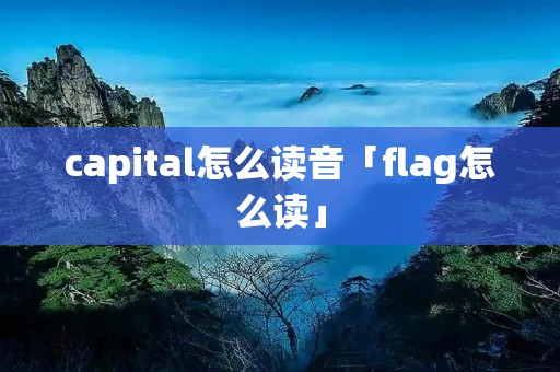 capital怎么读音「flag怎么读」