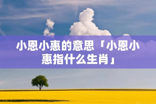 小恩小惠的意思「小恩小惠指什么生肖」