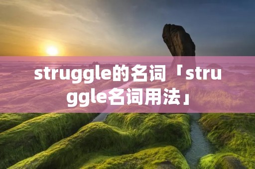 struggle的名词「struggle名词用法」