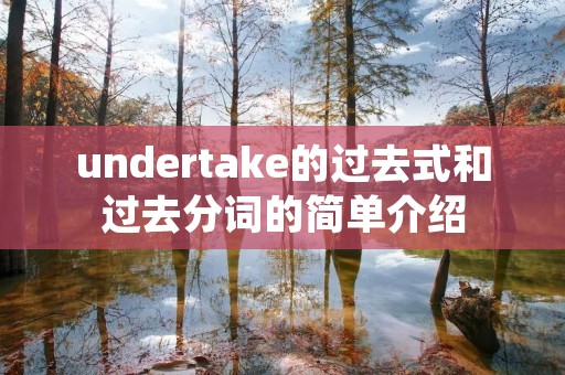 undertake的过去式和过去分词的简单介绍 undertake的过去式和过去分词的简单介绍