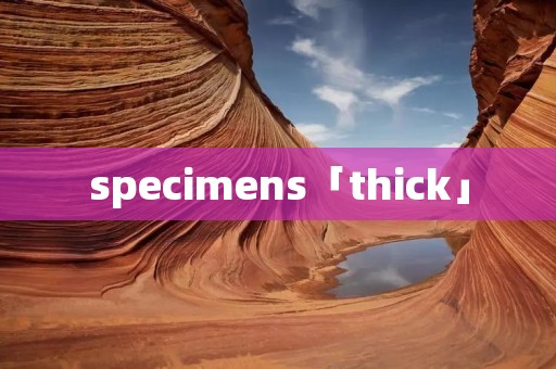 specimens「thick」 specimens「thick」