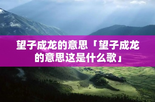 望子成龙的意思「望子成龙的意思这是什么歌」