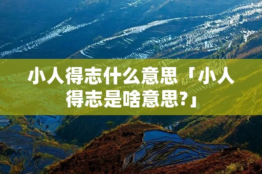 小人得志什么意思「小人得志是啥意思?」