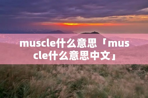 muscle什么意思「muscle什么意思中文」