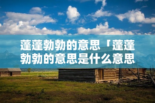 蓬蓬勃勃的意思「蓬蓬勃勃的意思是什么意思」