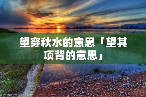 望穿秋水的意思「望其项背的意思」