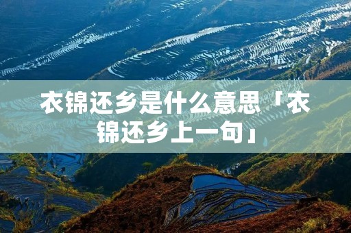 衣锦还乡是什么意思「衣锦还乡上一句」