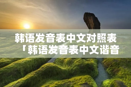 韩语发音表中文对照表「韩语发音表中文谐音图」