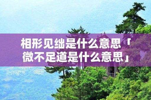 相形见绌是什么意思「微不足道是什么意思」