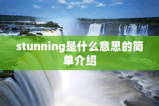 stunning是什么意思的简单介绍