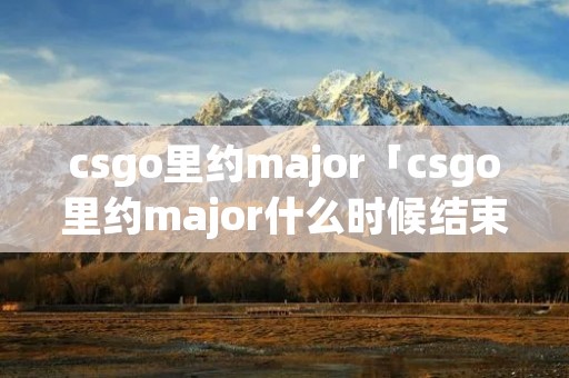 csgo里约major「csgo里约major什么时候结束」
