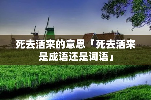 死去活来的意思「死去活来是成语还是词语」