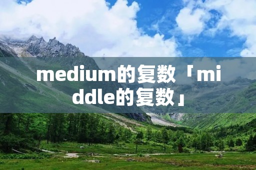 medium的复数「middle的复数」 medium的复数「middle的复数」