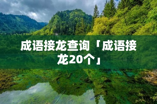 成语接龙查询「成语接龙20个」