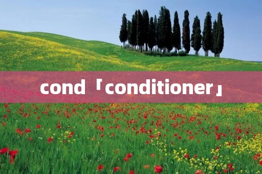 cond「conditioner」