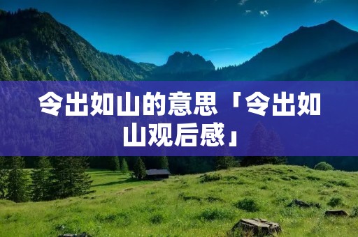 令出如山的意思「令出如山观后感」