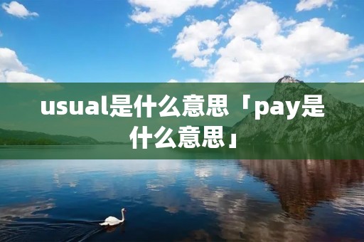 usual是什么意思「pay是什么意思」 usual是什么意思「pay是什么意思」