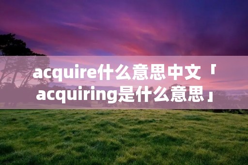 acquire什么意思中文「acquiring是什么意思」