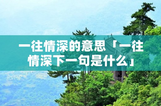 一往情深的意思「一往情深下一句是什么」