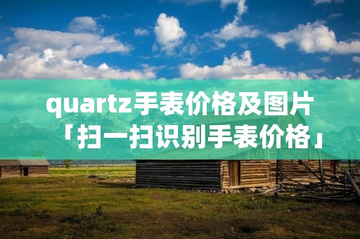 quartz手表价格及图片「扫一扫识别手表价格」