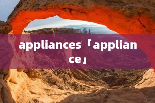 appliances「appliance」