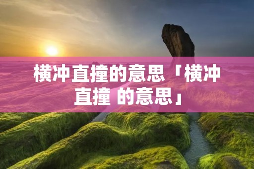 横冲直撞的意思「横冲直撞 的意思」