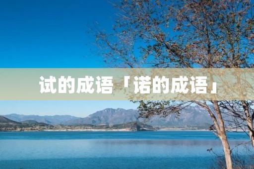 试的成语「诺的成语」
