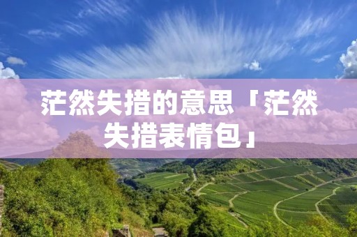 茫然失措的意思「茫然失措表情包」 茫然失措的意思「茫然失措表情包」