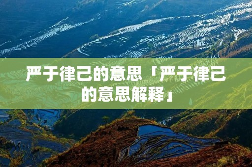 严于律己的意思「严于律己的意思解释」