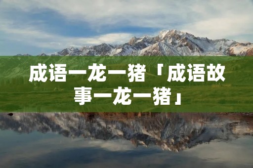 成语一龙一猪「成语故事一龙一猪」