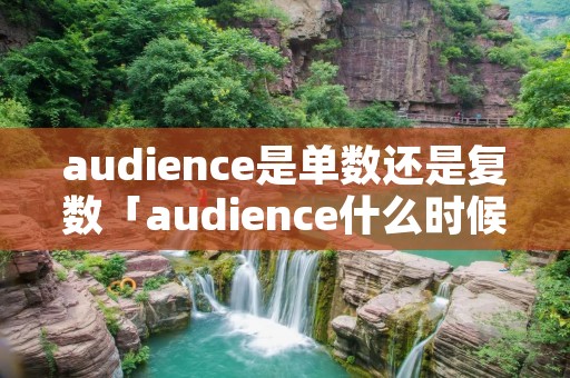 audience是单数还是复数「audience什么时候可数」