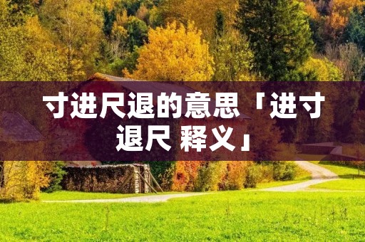 寸进尺退的意思「进寸退尺 释义」